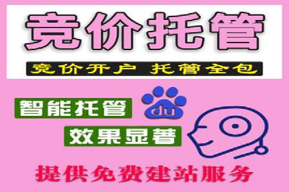 案例分享：SEM代运营推广公司助力企业提升品牌形象